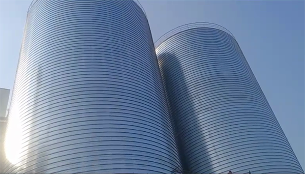 西工2座混凝土高架卷板仓